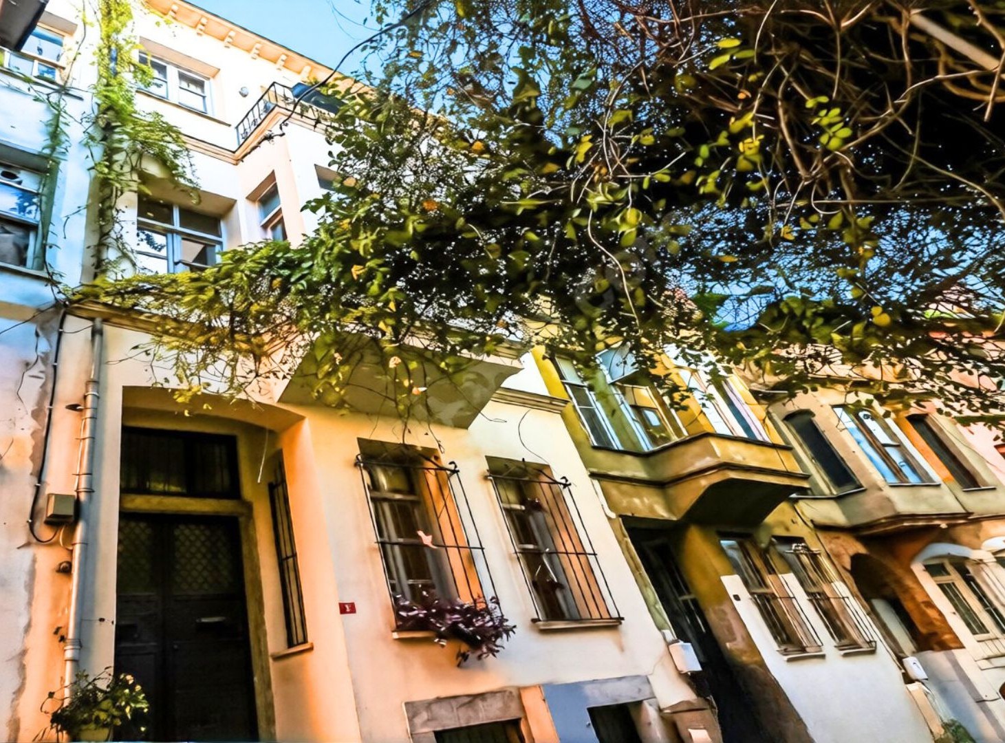 Yaldızcı Sokak'ta ağaç dallarının ardından görünen tarihi cepheler